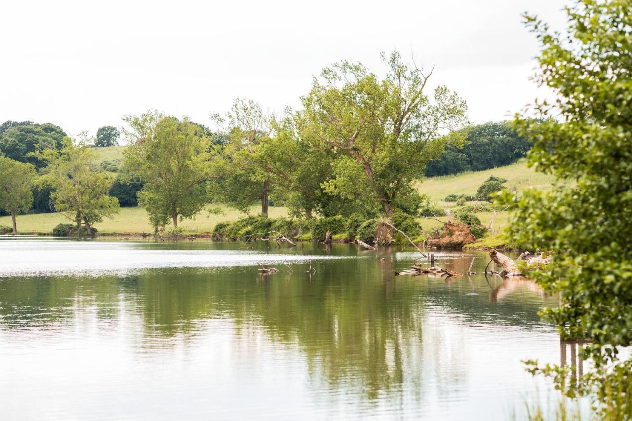 Agriturismo Lago Di Mezzano Valentano Exteriér fotografie